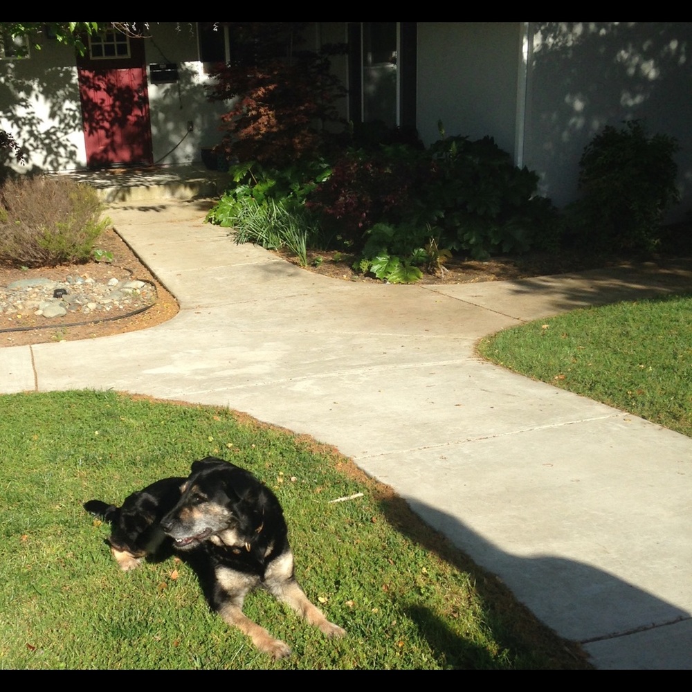 Meet your Posher, Georgia